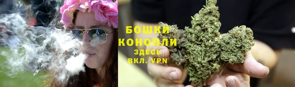 дмт Грязовец