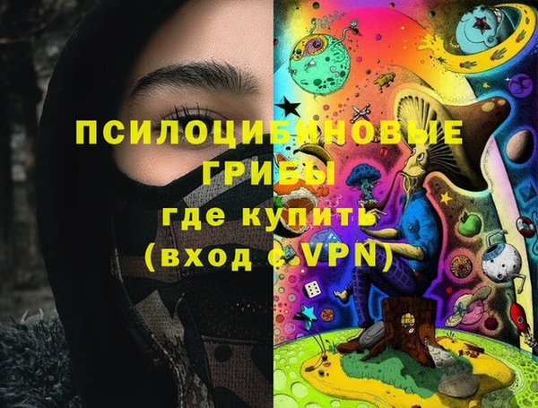 spice Вязьма