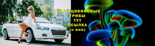 шишки Губаха