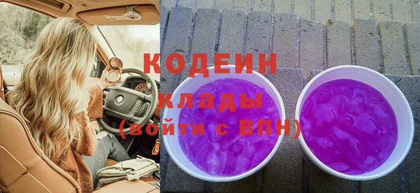 шишки Губаха