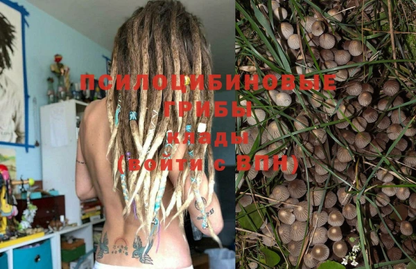 spice Вязьма