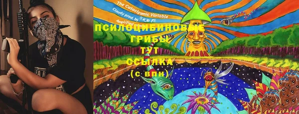 хмурый Вяземский