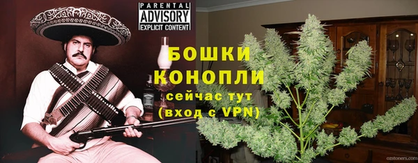 хмурый Вяземский