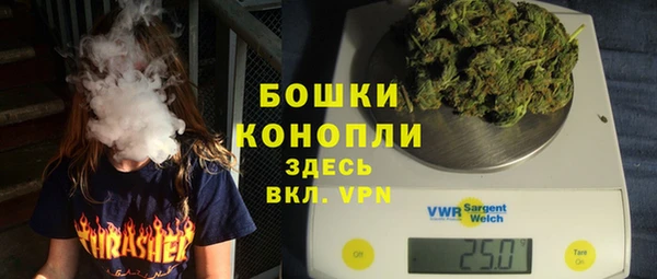 хмурый Вяземский